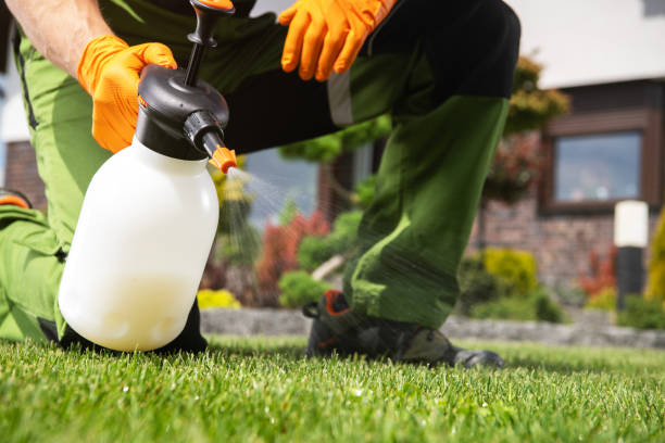 Best Residential Pest Control  in Orange Park, FL